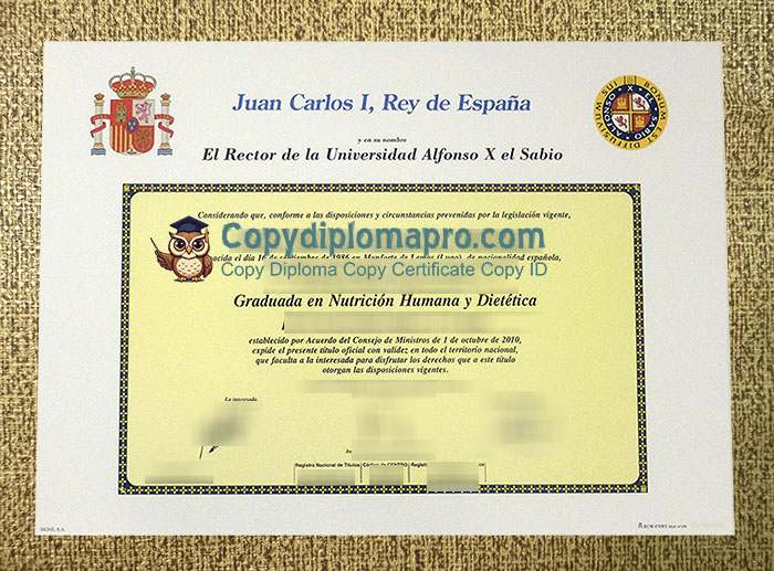 Universidad Alfonso X el Sabio Diploma, UAX Diploma