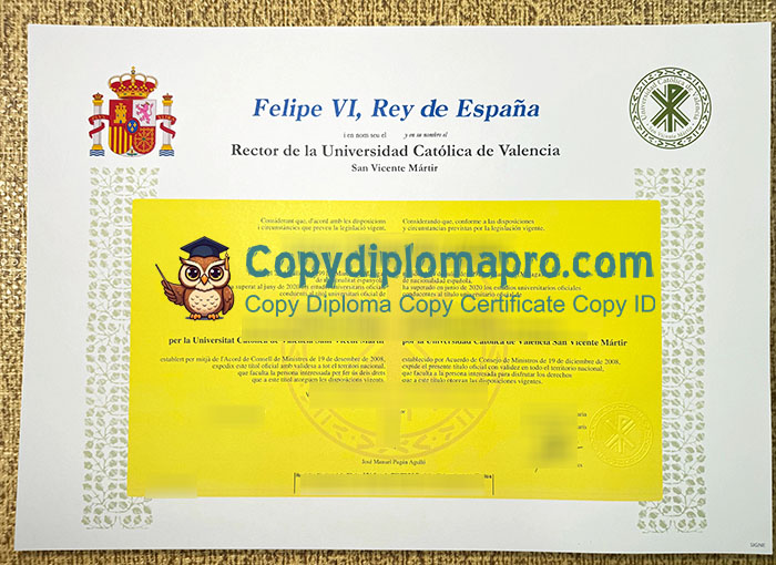 Universidad Católica de Valencia San Vicente Mártir Diploma
