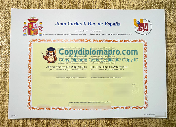 Universidad Miguel Hernández Diploma, UMH Diploma