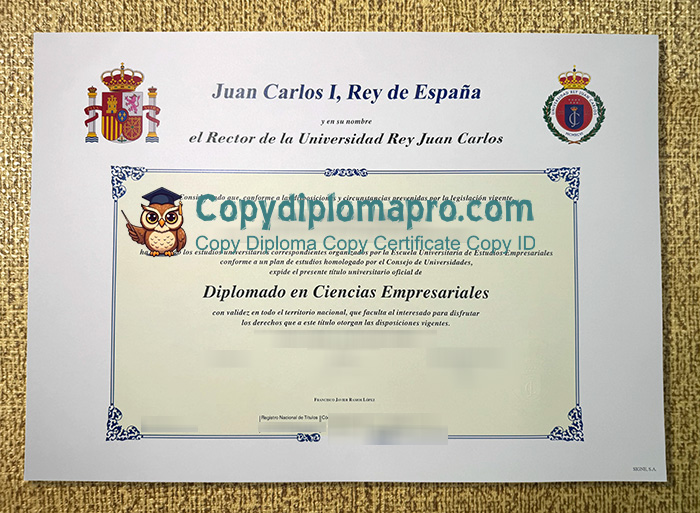 Universidad Rey Juan Carlos Diploma