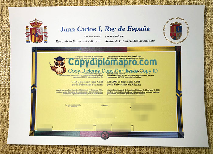 Universidad de Alicante Diploma